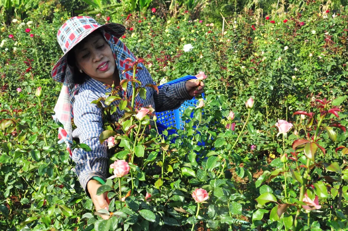 ไม่ได้พบพระ...ที่พบพระ