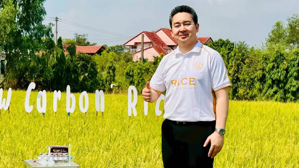 กลยุทธ์เพิ่มมูลค่าข้าวไทยสู้วิกฤติเวทีโลก  ดึงเกษตรกรลุยทำนายุค 'โลว์คาร์บอน'