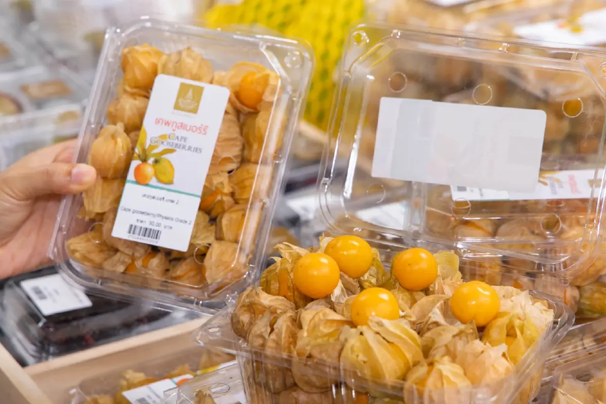 'โครงการหลวง' ชวนช้อปผลผลิตจากยอดดอย ธีม 'Taste of Longevity'