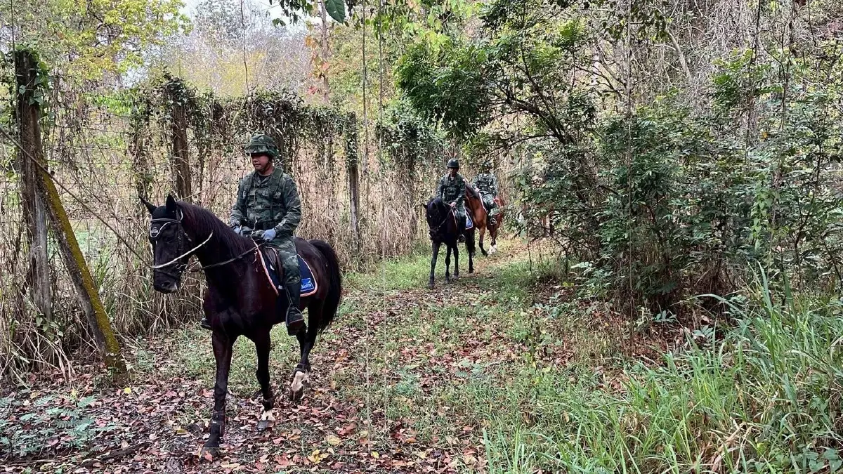 ทหารไทย ขี่ม้าลาดตระเวนป่าเชียงใหม่ ป้องกันไฟป่า สยบฝุ่น PM 2.5
