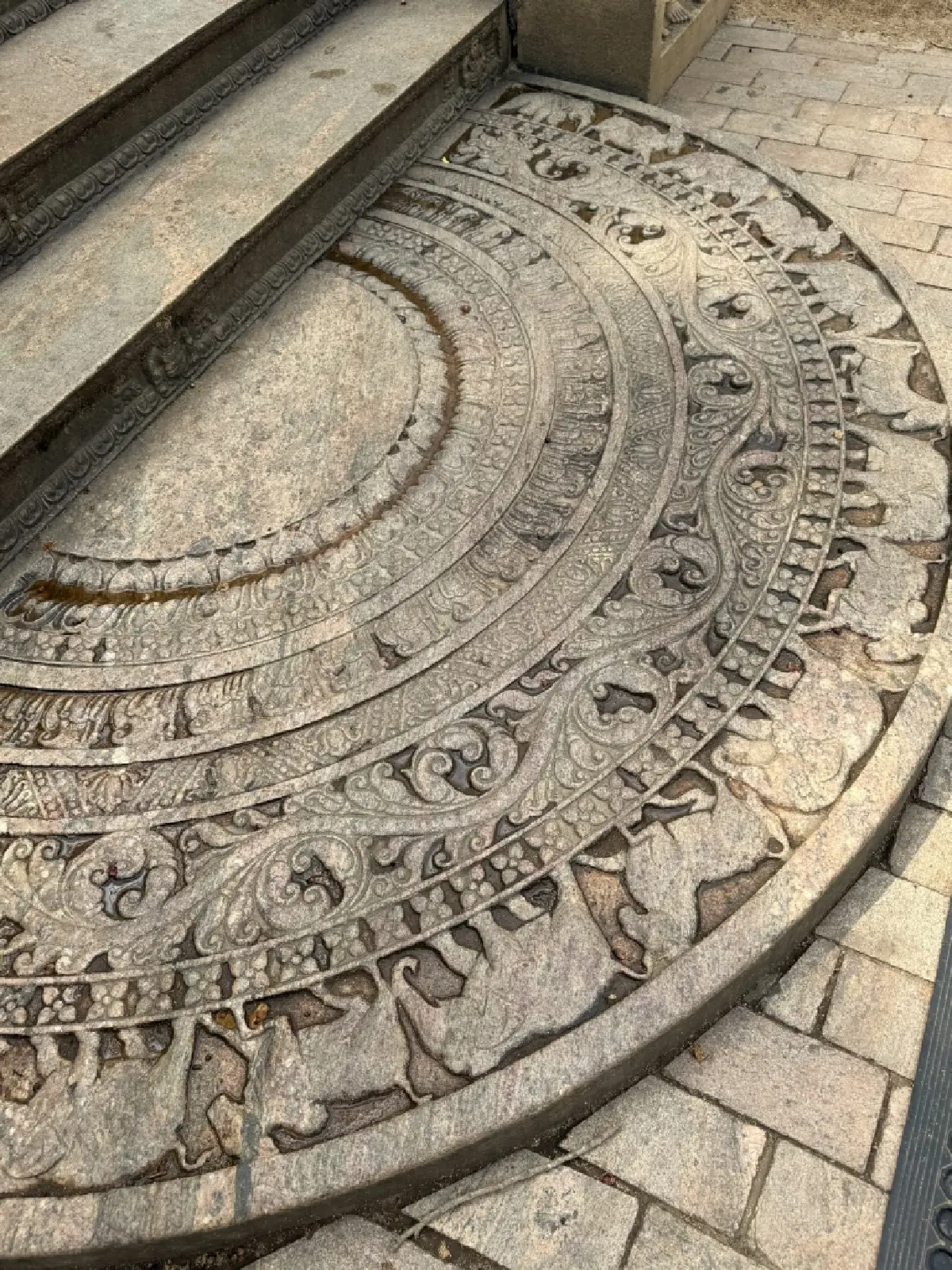 รากแก้วของศรัทธาพุทธในลังกา | World Wide View