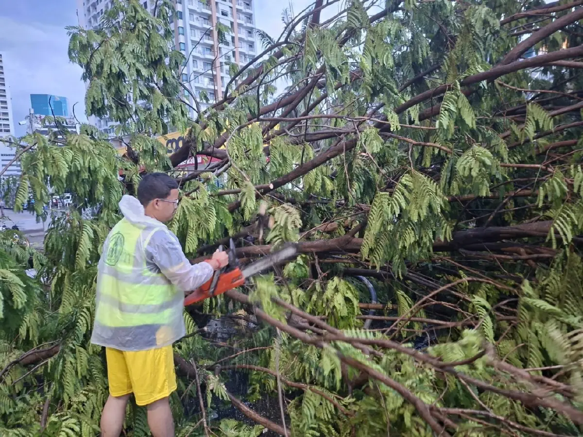พายุฤดูร้อนถล่มกรุงเทพ 'ยานนาวา' ฝนตกหนัก ลมแรง ต้นไม้ล้มขวางถนน