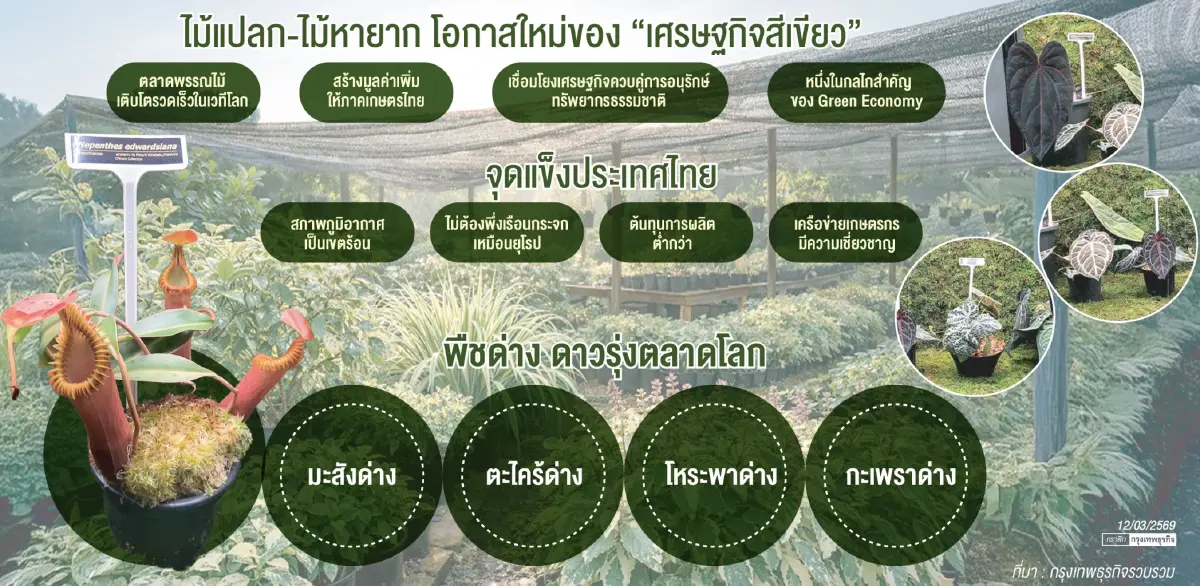 เศรษฐกิจสีเขียว 'ไม้แปลก–ไม้หายาก' สร้างมูลค่า ยกระดับเกษตรไทยสู่ตลาดโลก