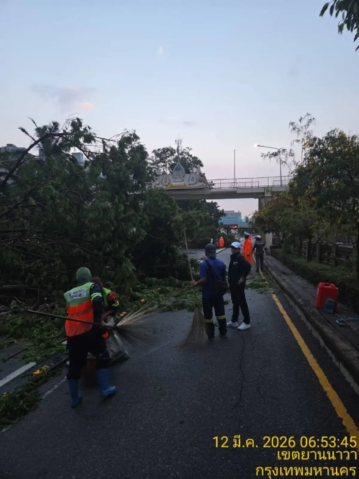 พายุฤดูร้อนถล่มกรุงเทพ 'ยานนาวา' ฝนตกหนัก ลมแรง ต้นไม้ล้มขวางถนน