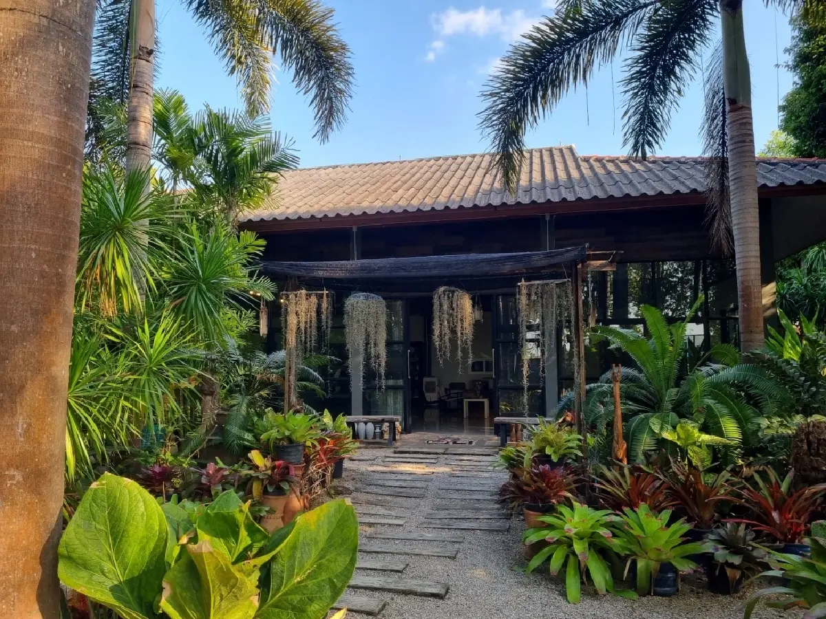 ลำปางสโลว์ไลฟ์ จิบกาแฟอุ่นที่ Hug Cup, Start Up และหม้อก๋า