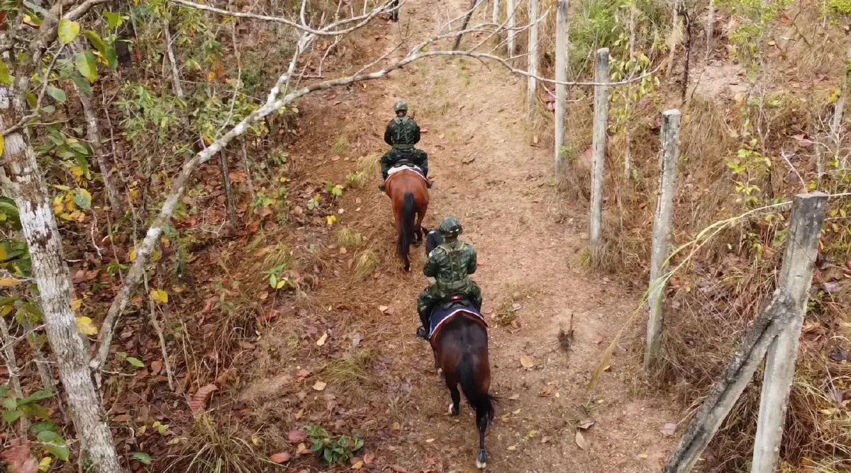 ทหารไทย ขี่ม้าลาดตระเวนป่าเชียงใหม่ ป้องกันไฟป่า สยบฝุ่น PM 2.5