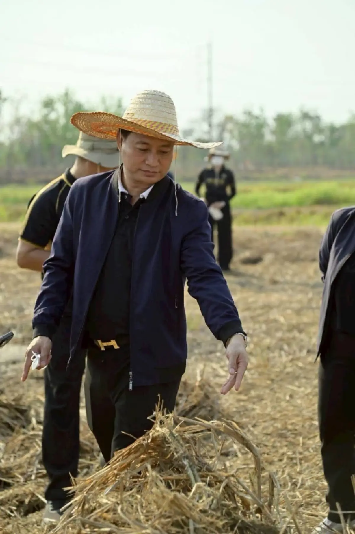 นวัตกรรม Rotary Mulcher เปลี่ยนตอซังเป็นทอง ลดเผา กักเก็บคาร์บอน