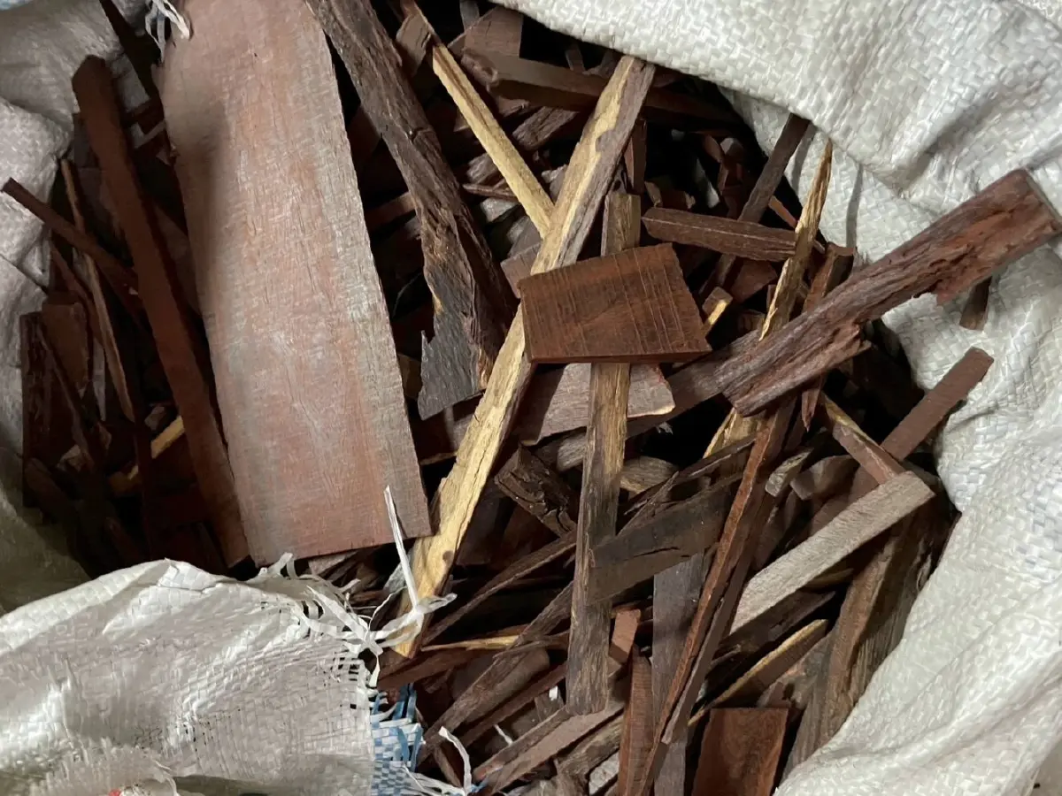 ช็อกโกดังลำลูกกา ยึดซากตุ๊กแก 1.2 แสนตัว เตรียมส่งนอก โยงคดีดัง 68