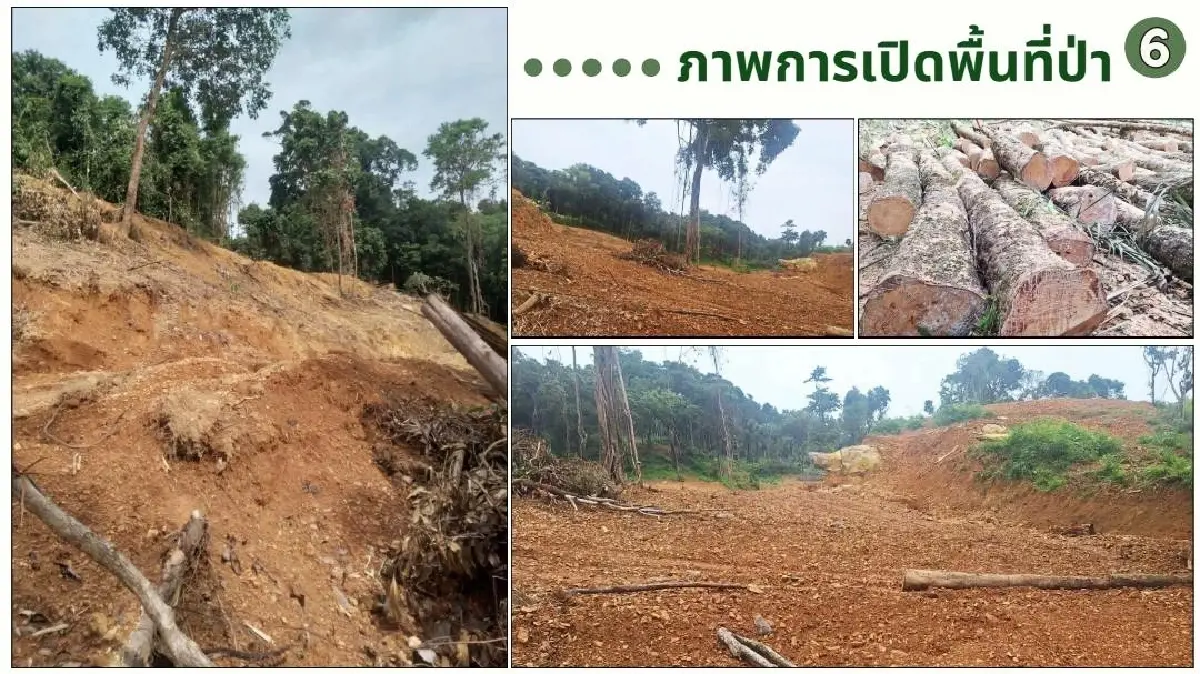 ฮุบที่ดินพันล้าน รุกป่าระนอง 2 พันไร่ พึ่งศาลเบรกบริษัทใหญ่ ล่าข้าราชการเอี่ยวเข้าคุก