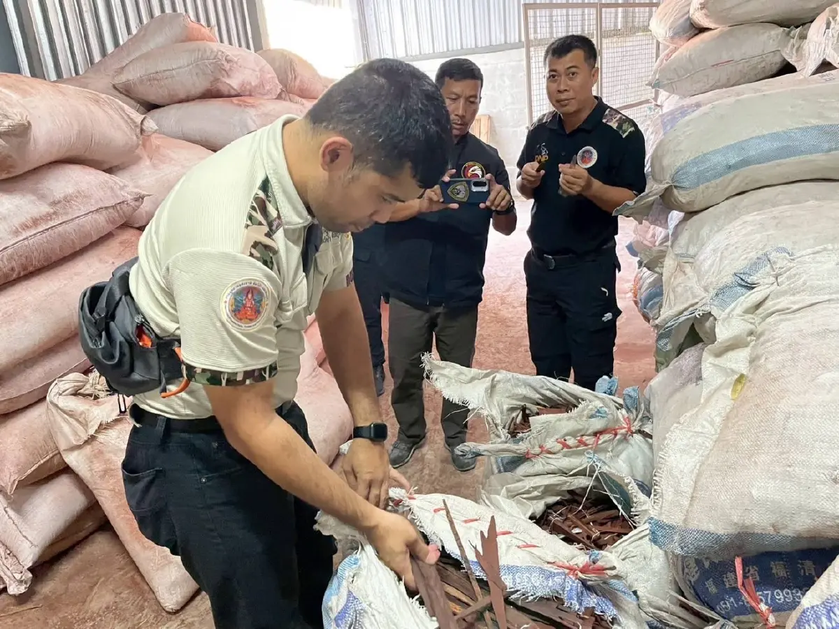 ช็อกโกดังลำลูกกา ยึดซากตุ๊กแก 1.2 แสนตัว เตรียมส่งนอก โยงคดีดัง 68