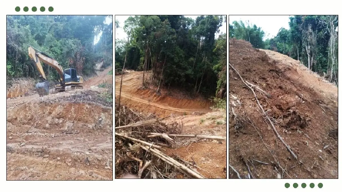 ฮุบที่ดินพันล้าน รุกป่าระนอง 2 พันไร่ พึ่งศาลเบรกบริษัทใหญ่ ล่าข้าราชการเอี่ยวเข้าคุก