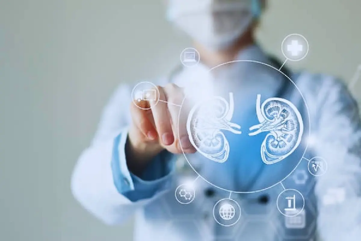 ‘โรคไต’ ภัยเงียบเศรษฐกิจไทย  CheCKD Now รับมือก่อนสายเกินแก้