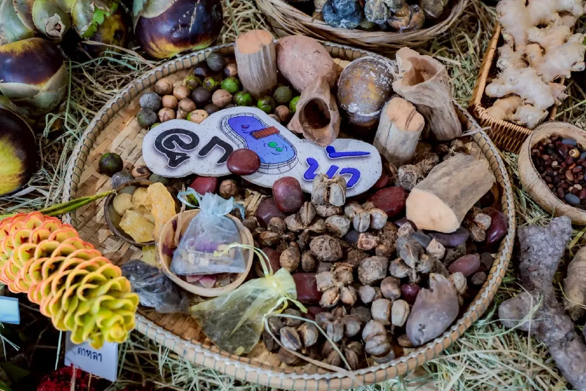 กู้วิกฤตปากท้อง! งาน 'จากพันธุกรรม สู่ความยั่งยืน' 3-5 เม.ย. นี้