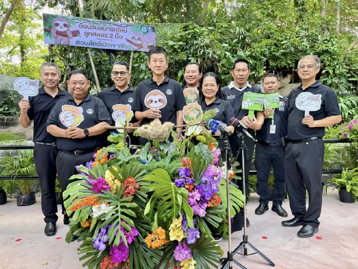 สุดน่ารัก 'ลูกสลอธสองนิ้ว' สมาชิกใหม่ สวนสัตว์เปิดเขาเขียว ชวนปชช.ร่วมตั้งชื่อ