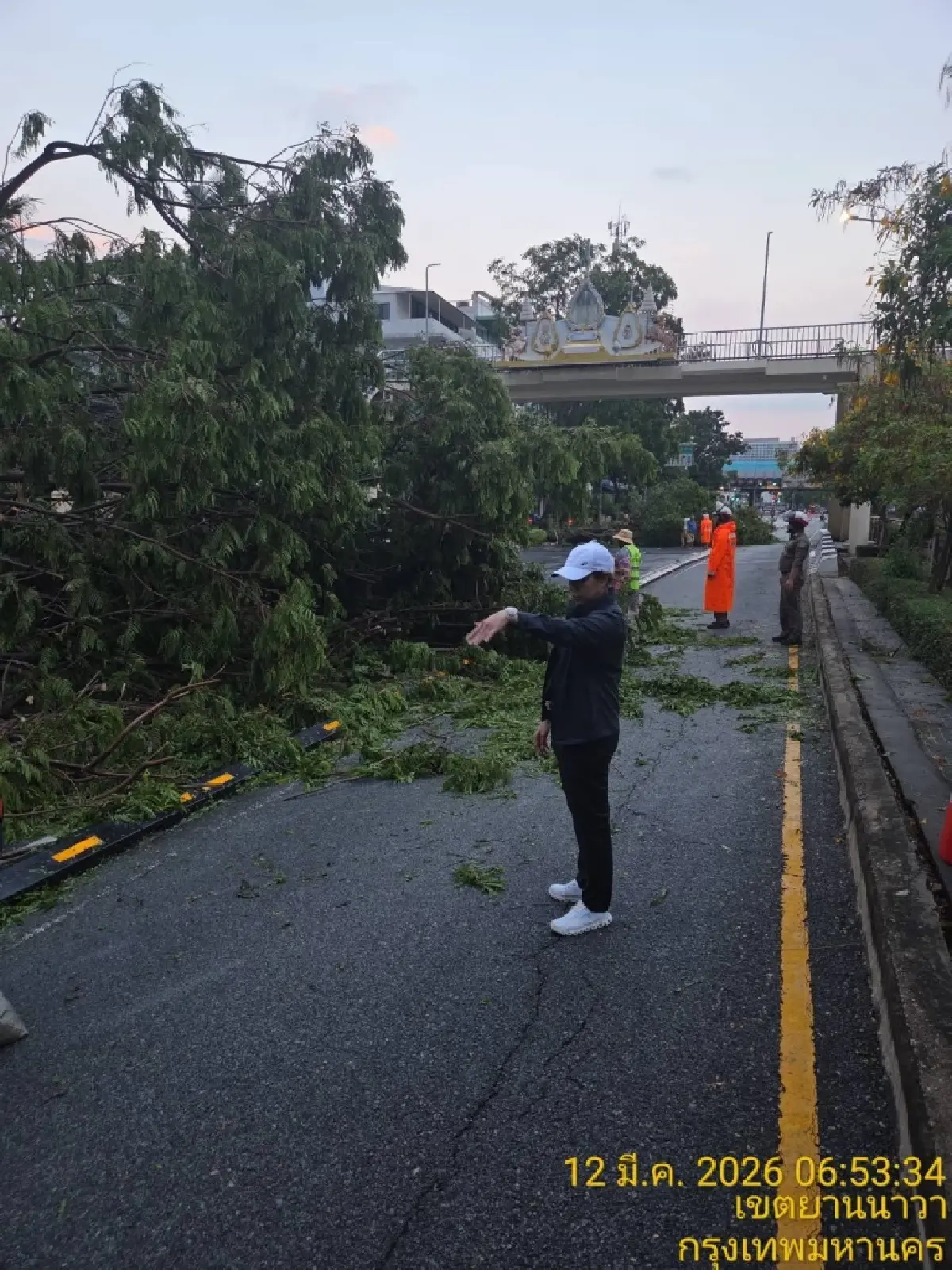 พายุฤดูร้อนถล่มกรุงเทพ 'ยานนาวา' ฝนตกหนัก ลมแรง ต้นไม้ล้มขวางถนน