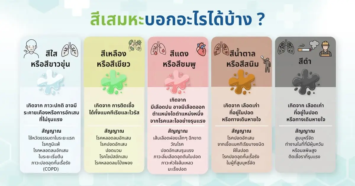 สีเสมหะบอกโรค สีไหน 'ปกติ' สีไหน 'เสี่ยง' ต้องรีบพบแพทย์