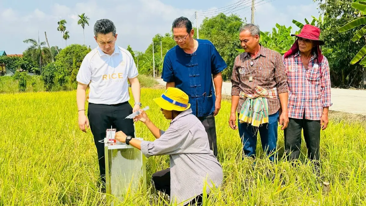 กลยุทธ์เพิ่มมูลค่าข้าวไทยสู้วิกฤติเวทีโลก  ดึงเกษตรกรลุยทำนายุค 'โลว์คาร์บอน'
