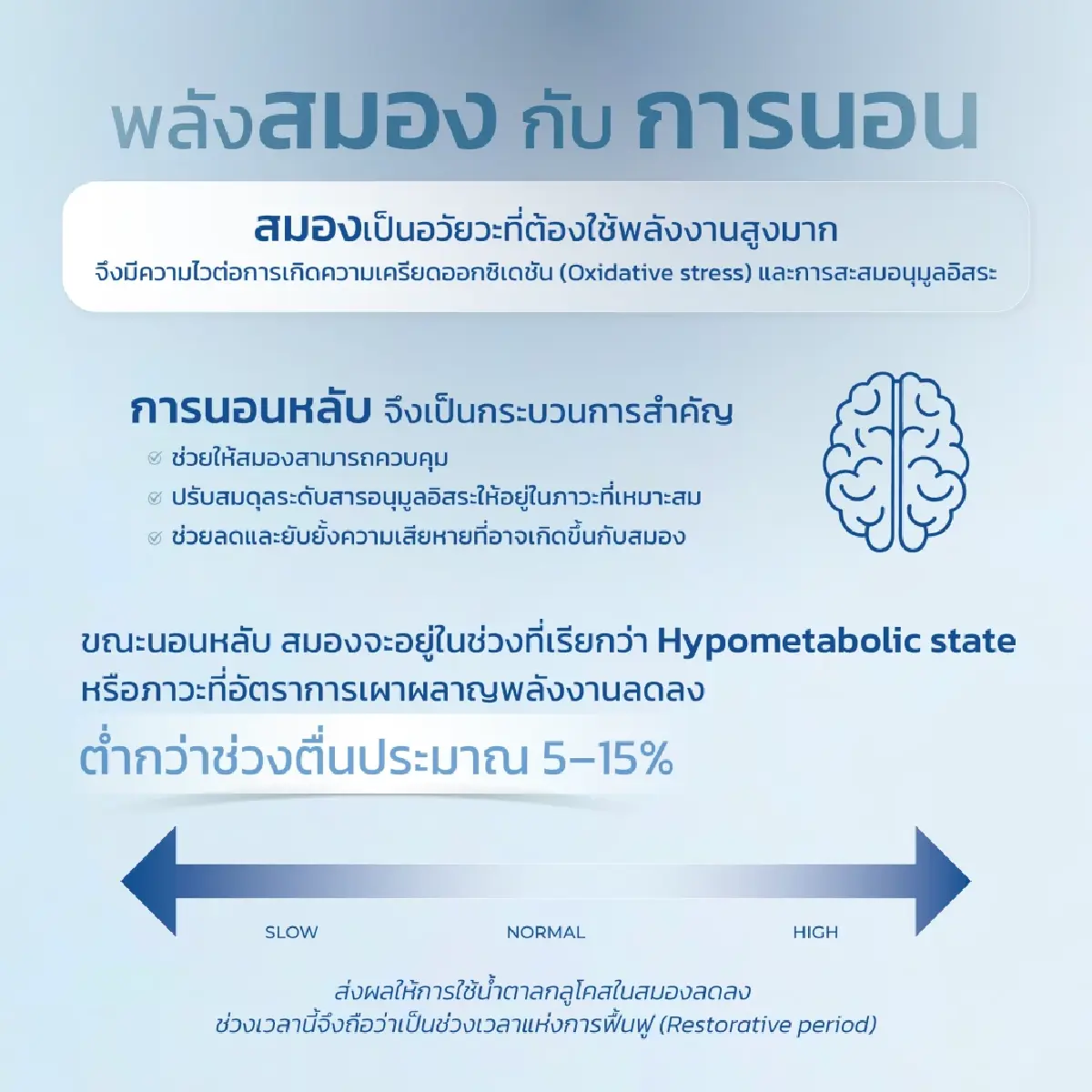 เตือน! 'อดนอน' เสี่ยงทำลายสมอง  ย้ำ 'การนอนคุณภาพ' กุญแจสุขภาพดี
