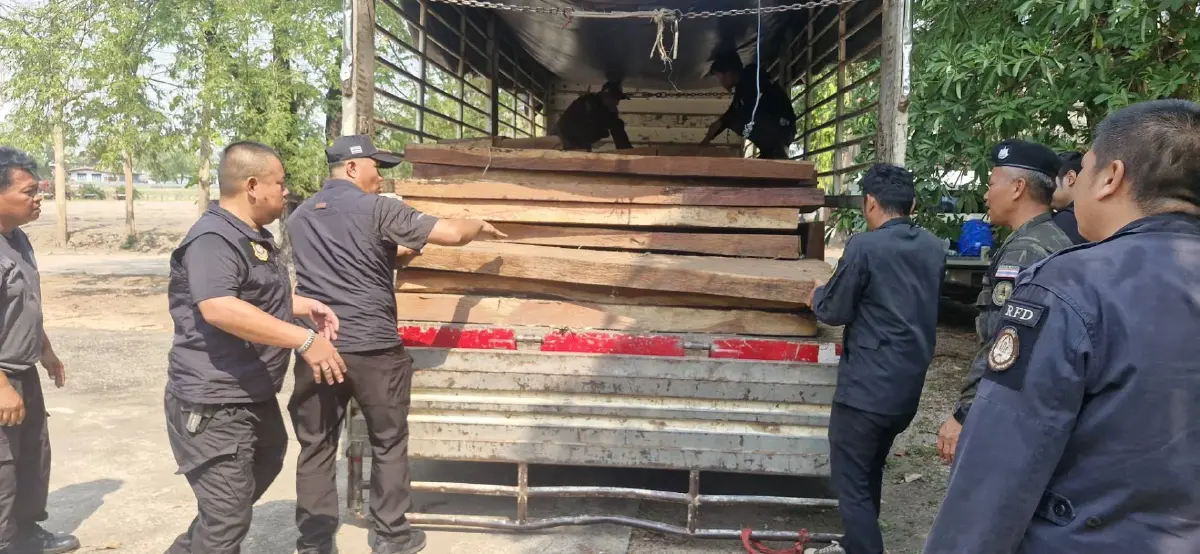 บิ๊กล็อต จับขบวนการค้าไม้ประดู่เถื่อน เตรียมส่งโกดังภาคกลาง อุทยานฯ เร่งขยายผลล่านายทุน