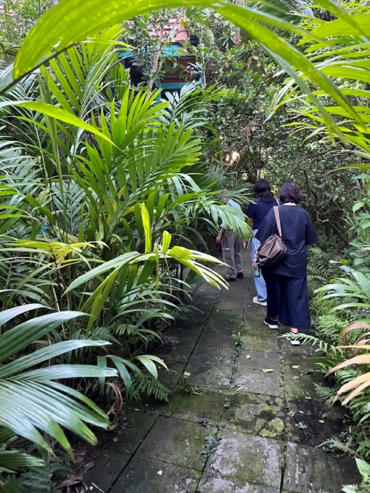 9 เรื่อง อ.จักรพันธุ์ โปษยกฤต ผ่าน 'พิพิธภัณฑ์จักรพันธุ์ โปษยกฤต'