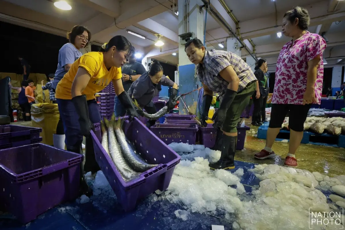 น้ำมันแพง กระทบ แพปลา เรือจอดสนิท วอนรัฐ คุมเข้มราคา ก่อนของแพงอีก