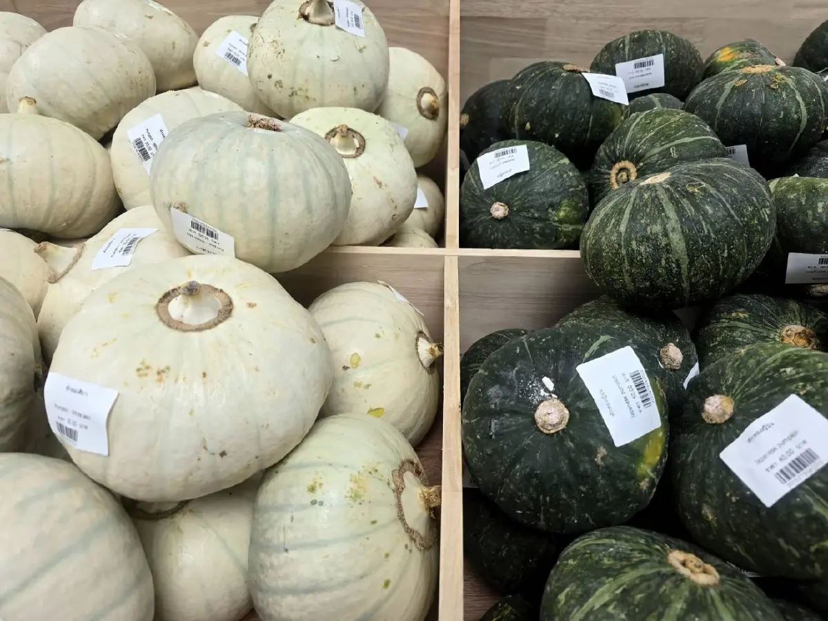 'โครงการหลวง' ชวนช้อปผลผลิตจากยอดดอย ธีม 'Taste of Longevity'