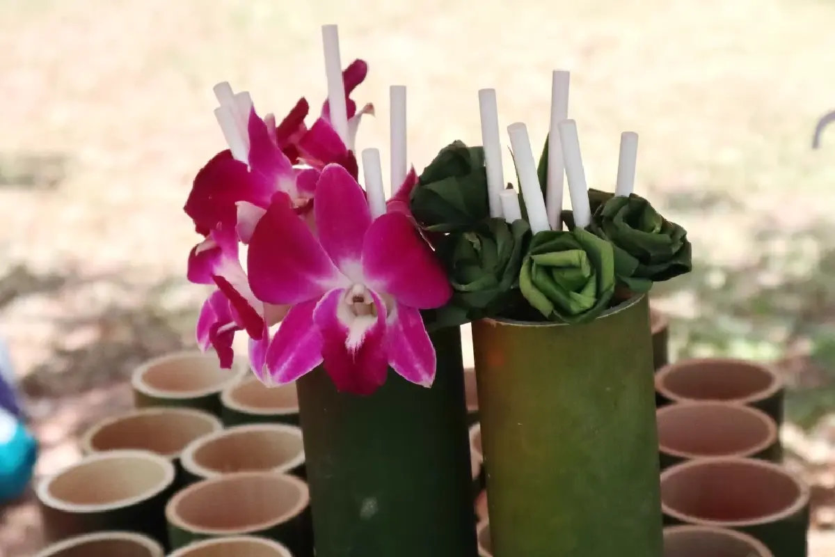 เดิน ‘หลาดแบกะดิน' กินอาหารสุขภาพ สัมผัสวิถีชุมชนเขาชัยสน