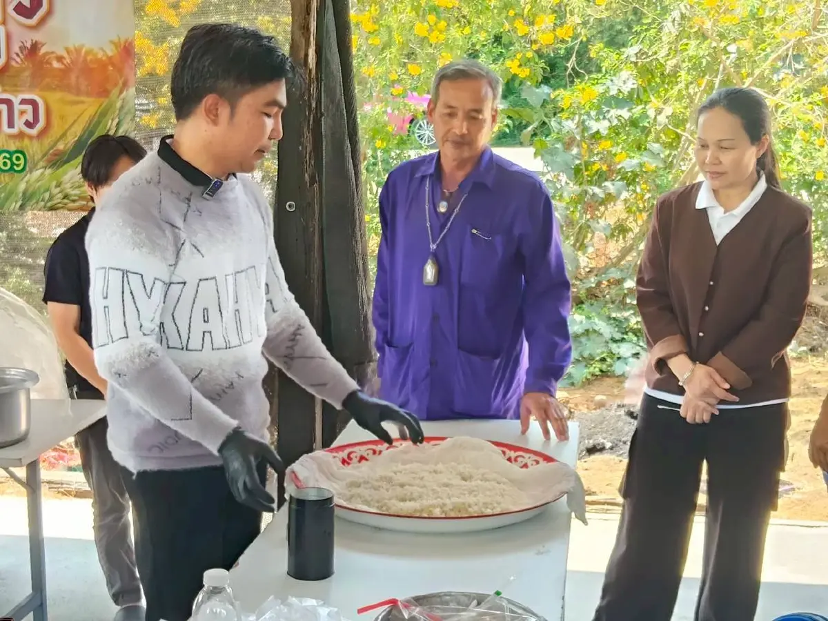 ต้นแบบ 'ข้าวโลว์คาร์บอน' ของไทย ข้าวชาวนาร่วมใจพื้นที่ภาคกลาง