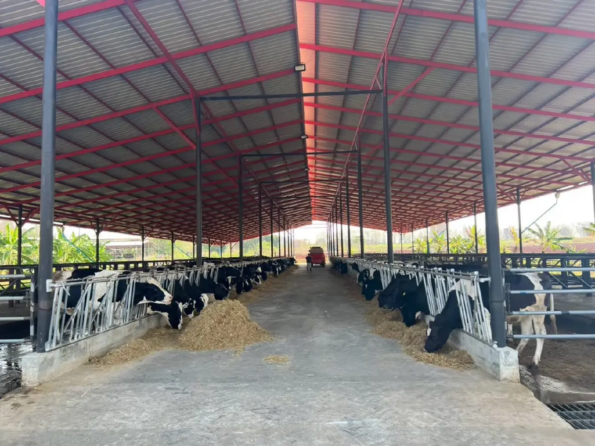 สศก. ชี้ Biogas โคนมลดก๊าซ 86.55% ฟาร์มใหญ่รับกำไร 4,064 บาท