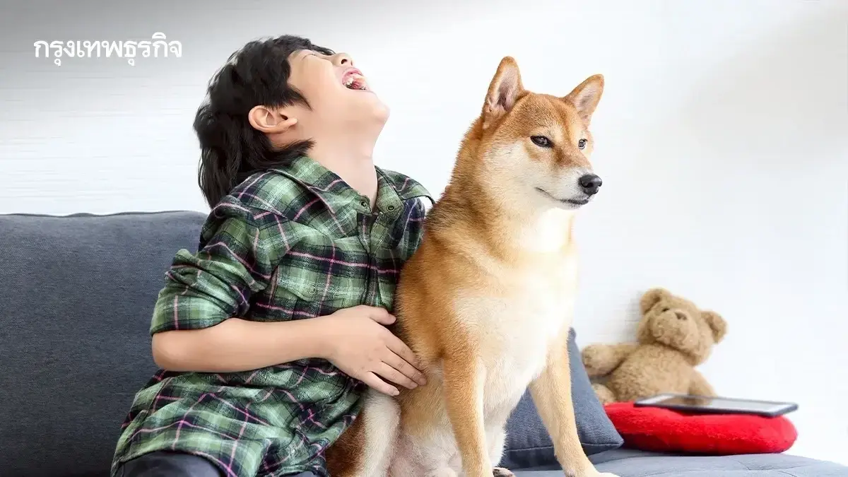 ทาสหมา ทาสแมวเฮ กทม. เปิดจุด ฝังไมโครชิป ฉีดวัคซีนฟรี ตลอดปี 2569