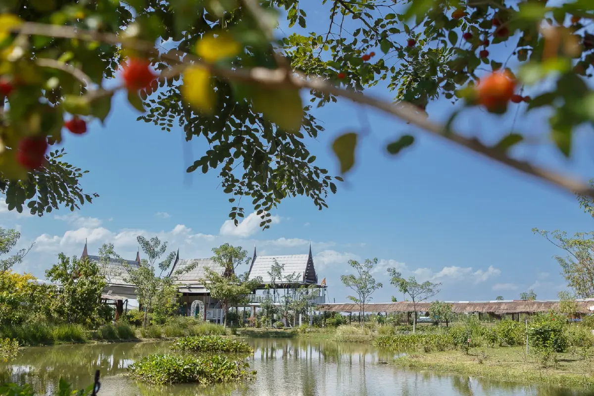 เส้นทางสายไมซ์...เมืองพริบพรี