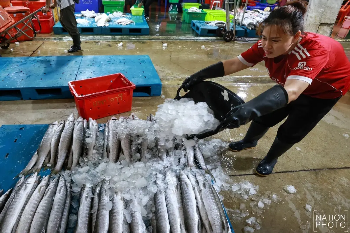 น้ำมันแพง กระทบ แพปลา เรือจอดสนิท วอนรัฐ คุมเข้มราคา ก่อนของแพงอีก