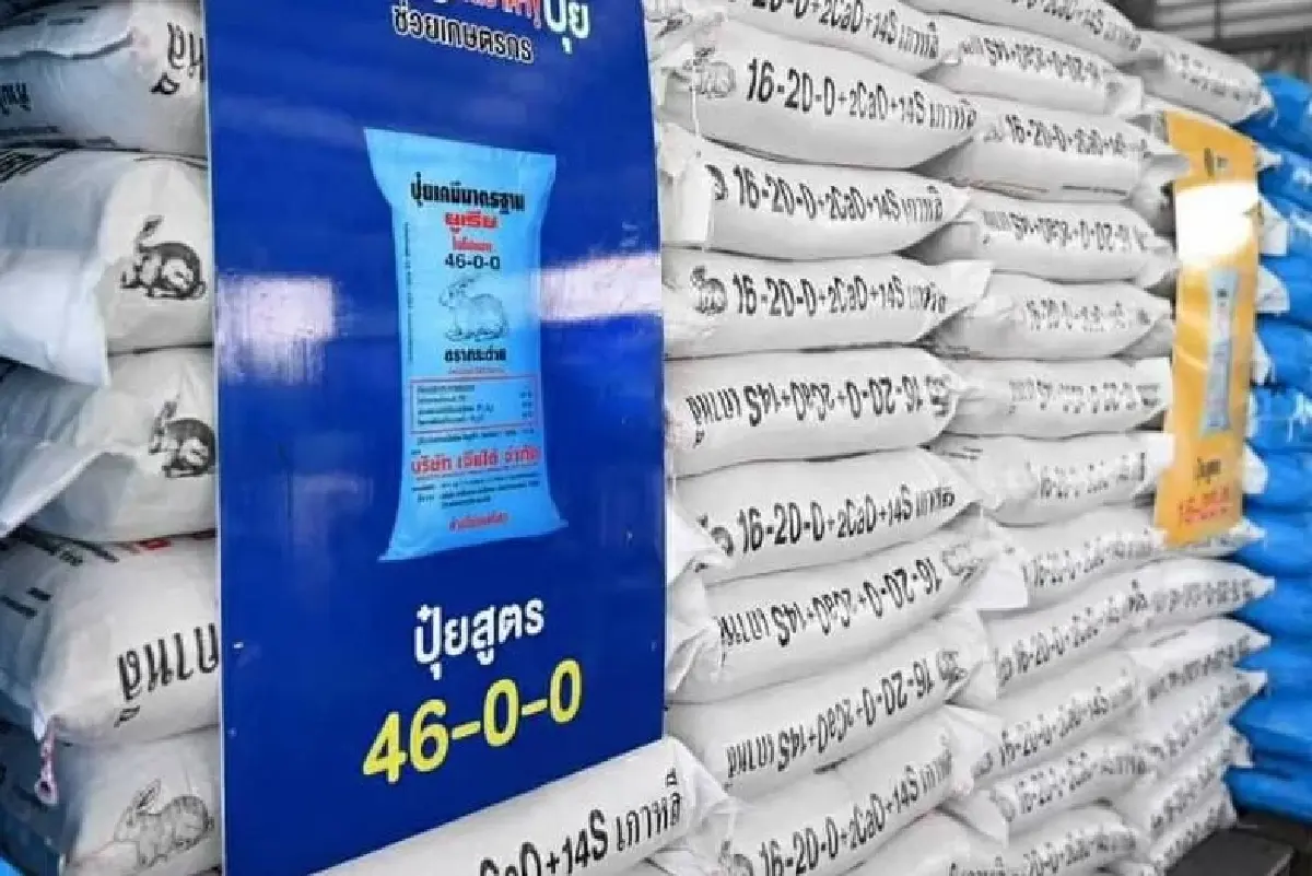 พาณิชย์ สั่งเบรกขึ้นราคาสินค้าควบคุม จับตา 6 กลุ่มสินค้าเฝ้าระวัง