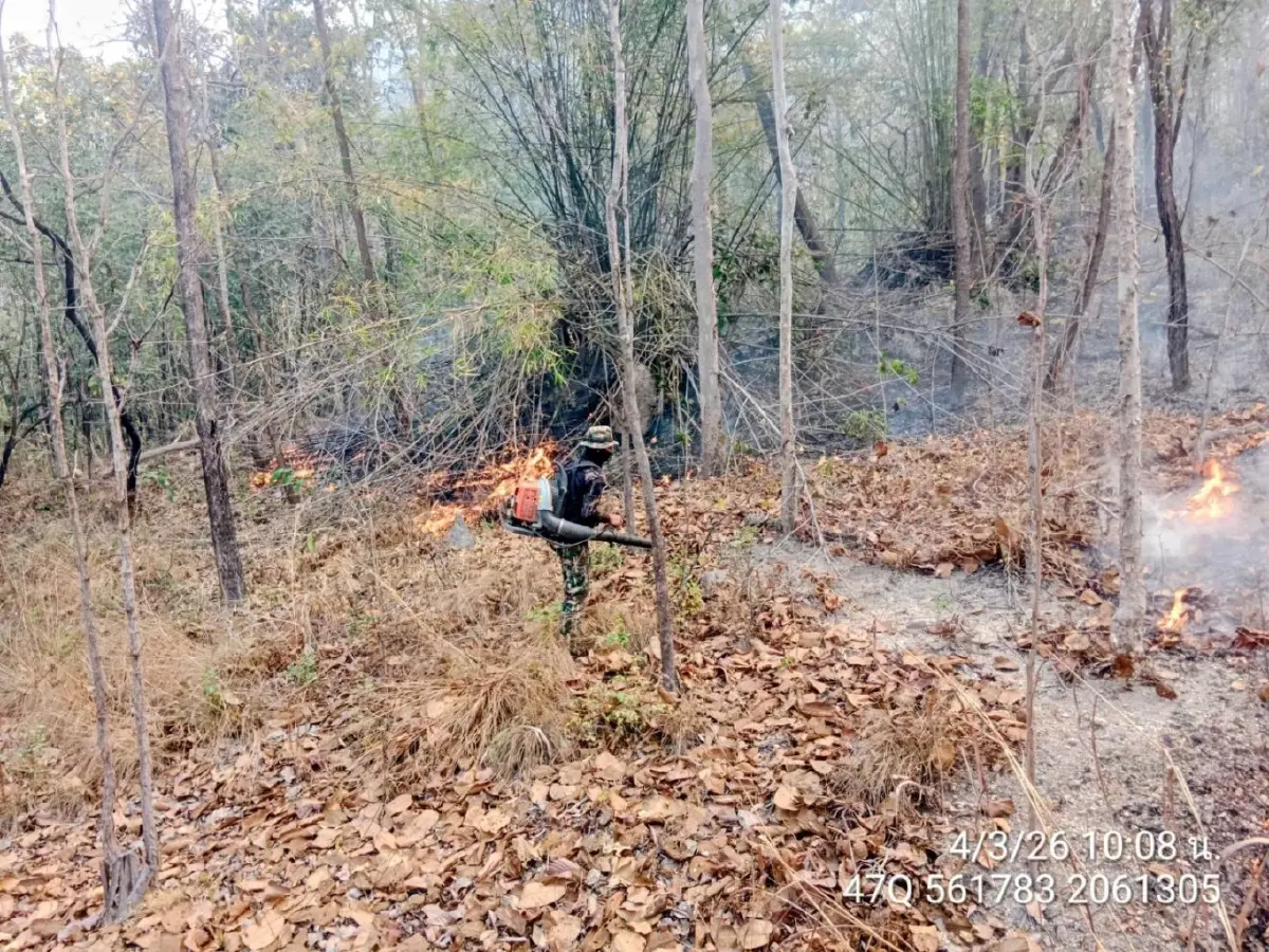 ไฟป่าลำปางลาม 3 จุด เผาวอดป่าเบญจพรรณกว่า 140 ไร่ เจ้าหน้าที่รุดสกัด