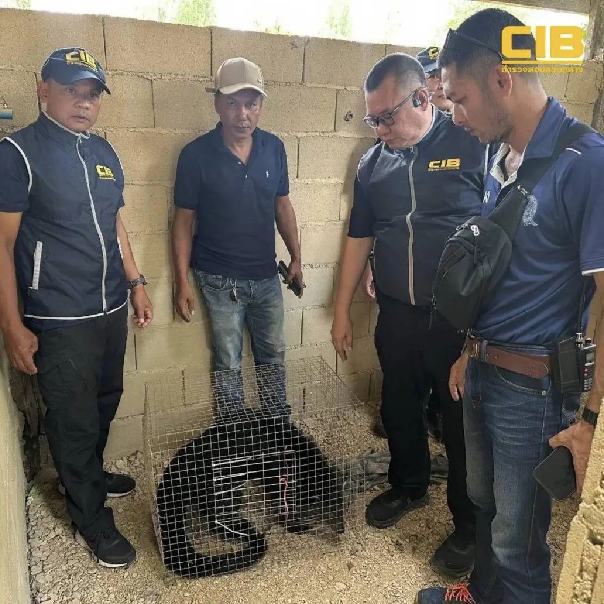 ตรวจยึดหมีขอสัตว์ป่าคุ้มครอง ถูกขังล่ามโซ่ทิ้งไว้ในอาคารร้าง