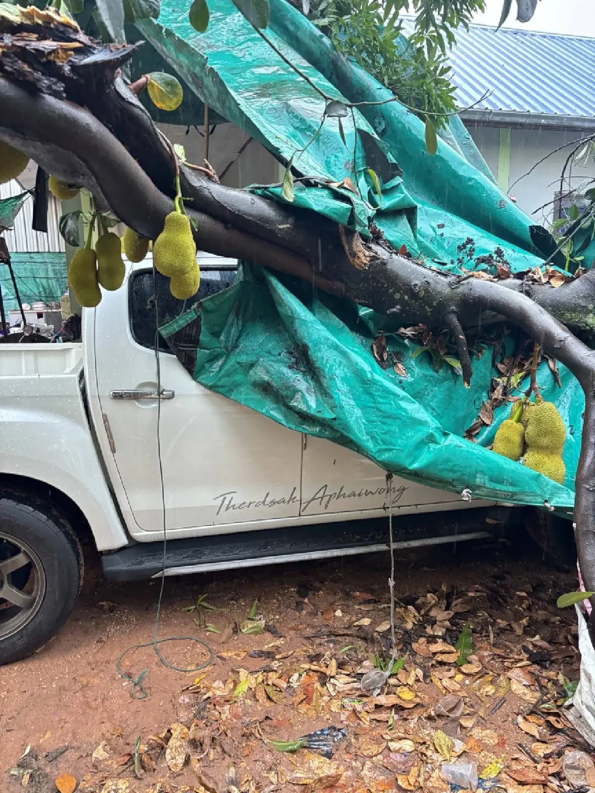 เริ่มแล้วพายุเข้าชัยภูมิ พายุฤดูร้อนถล่มบ้านค่าย สังกะสีปลิว