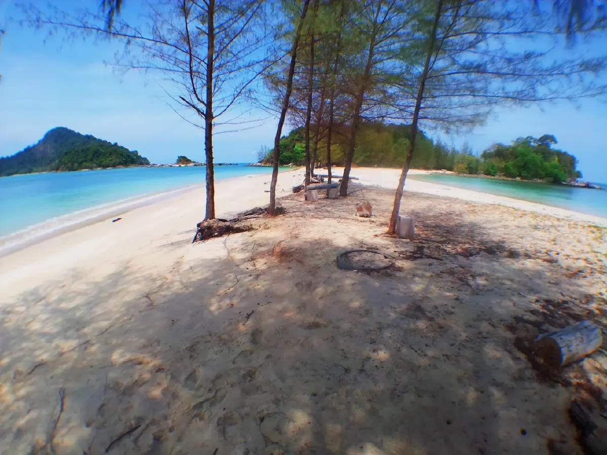 ค้างคืนบนเกาะกำ