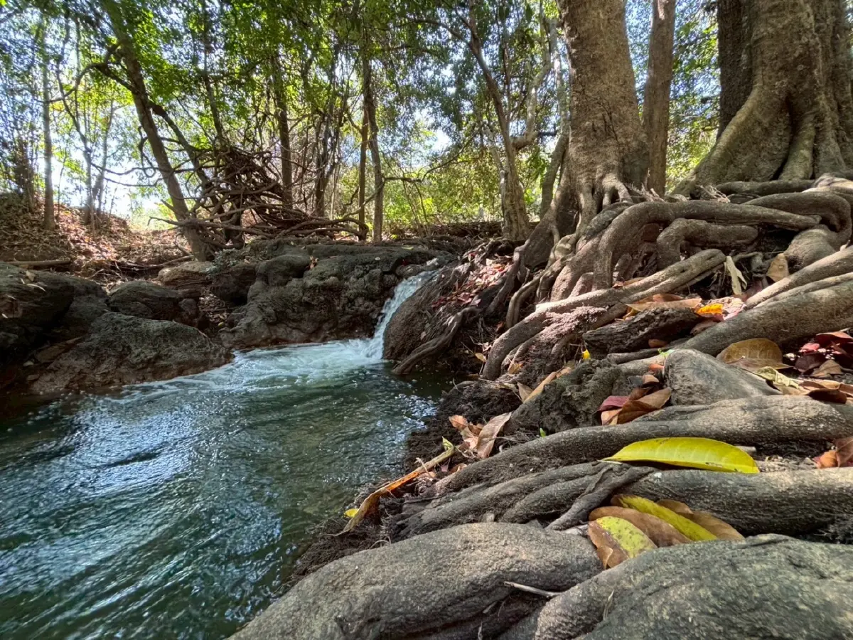 หน้าร้อน ปักหมุดเที่ยวเลย 'น้ำตกท่าสวรรค์' อ.นาด้วง น้ำใสไหลเย็น