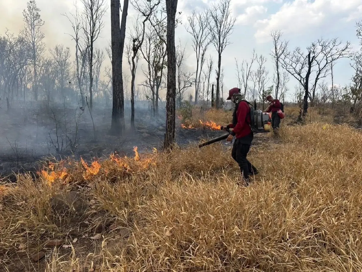 รัฐบาล สั่ง 'ปิดป่าทั่วประเทศ' สกัดไฟป่า-ฝุ่น PM2.5 ขั้นสูงสุด