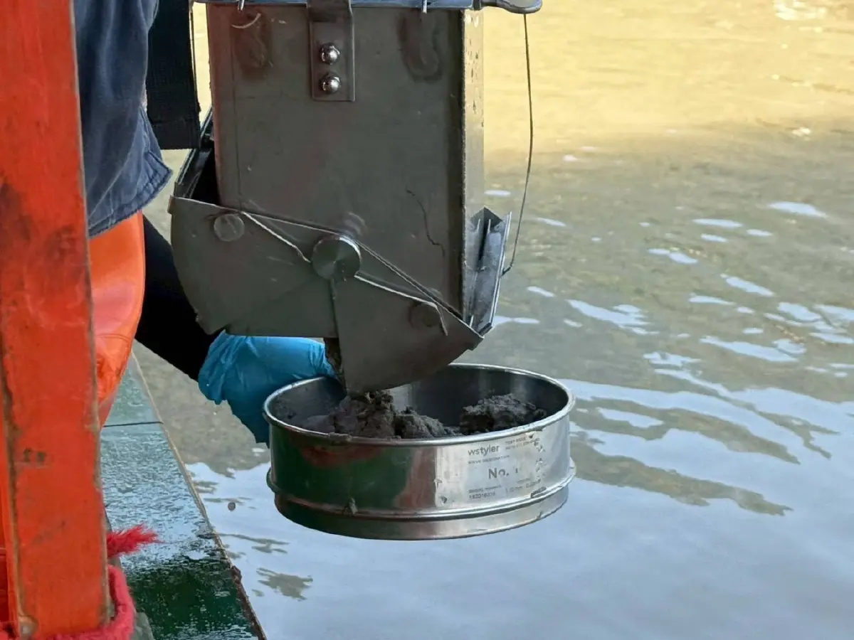 ผลตรวจ ตะกอนดิน 4 แม่น้ำเหนือ พบสารหนูพุ่งสูง ระดับอันตรายต่อสัตว์หน้าดิน