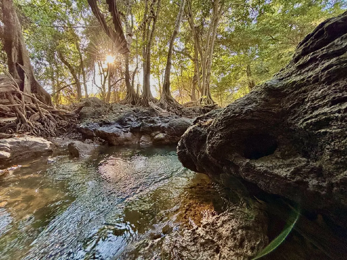 หน้าร้อน ปักหมุดเที่ยวเลย 'น้ำตกท่าสวรรค์' อ.นาด้วง น้ำใสไหลเย็น