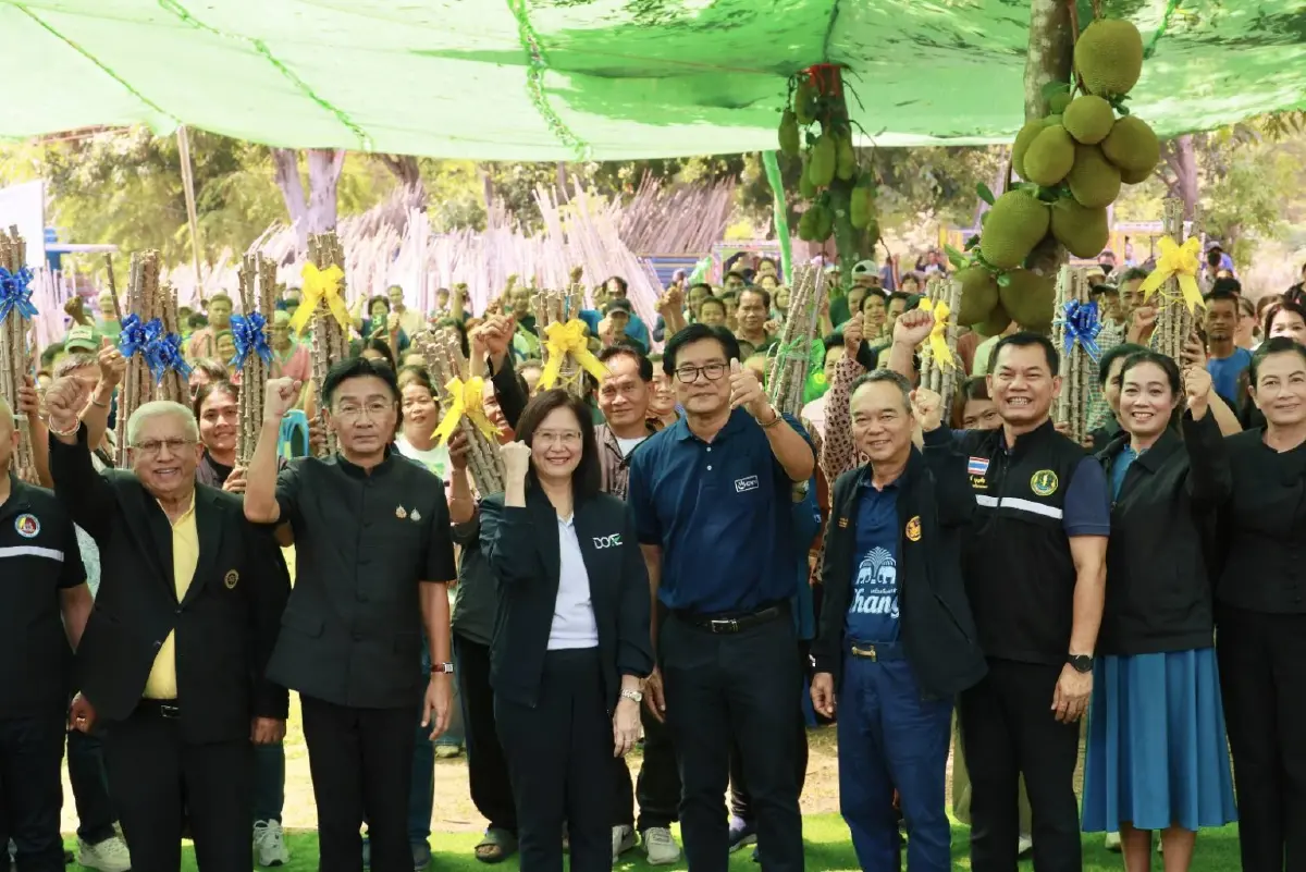 กรมส่งเสริมการเกษตร รุก ‘ยโสธรโมเดล’ กระจายพันธุ์มันสะอาดต้านโรค
