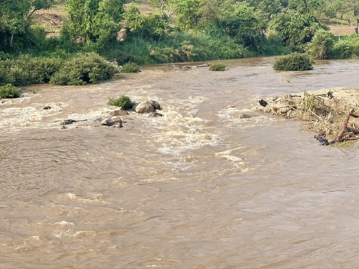 ผลตรวจ ตะกอนดิน 4 แม่น้ำเหนือ พบสารหนูพุ่งสูง ระดับอันตรายต่อสัตว์หน้าดิน