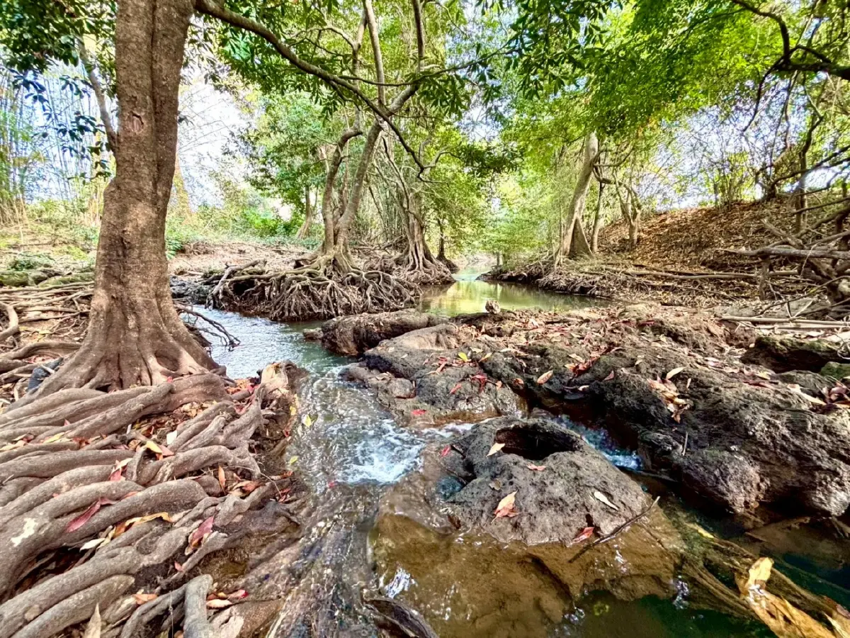 หน้าร้อน ปักหมุดเที่ยวเลย 'น้ำตกท่าสวรรค์' อ.นาด้วง น้ำใสไหลเย็น