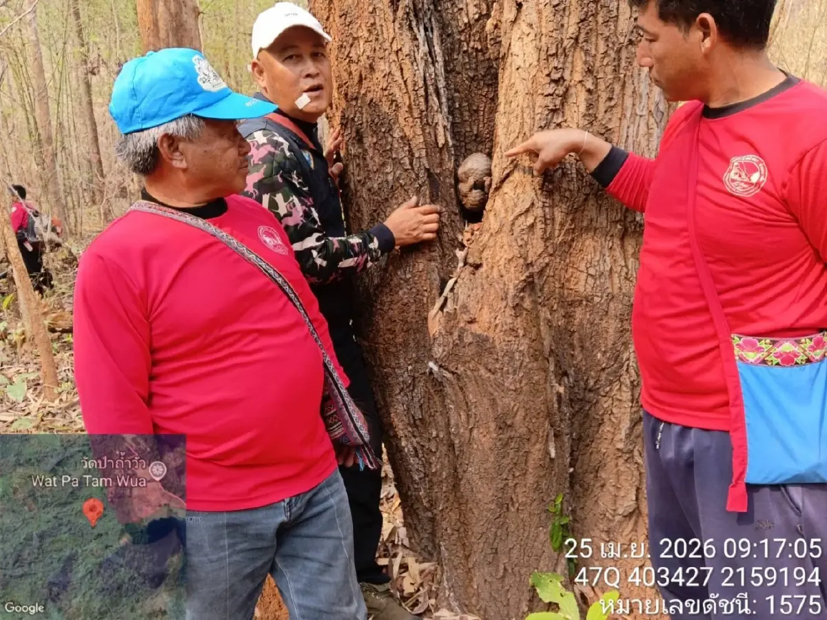 ภาพสะเทือนใจ 'ลิ่น' หนีตายไฟป่าซุกซอกไม้ บาดเจ็บสาหัส เกล็ดแตก ส่งรักษาด่วน