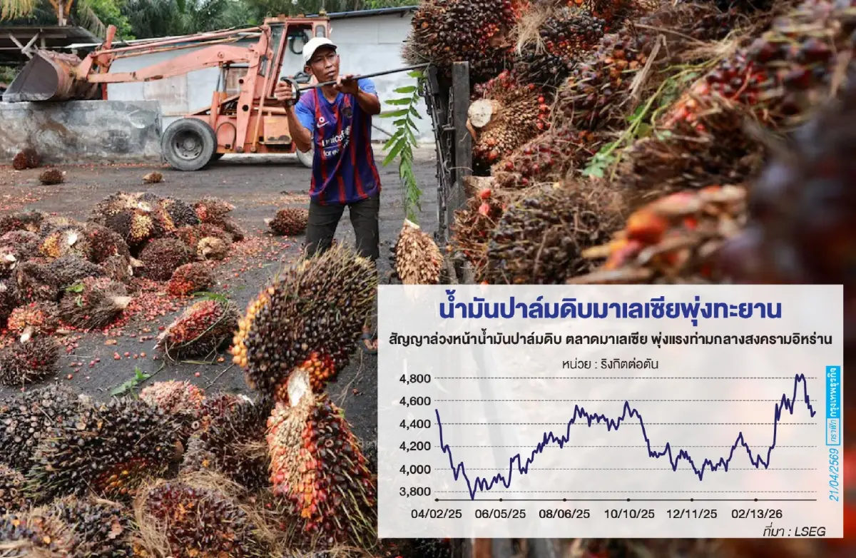 สงคราม ‘ลามถึงจานข้าว’ น้ำมันปาล์มจ่อ ‘แพงขึ้น 20%’