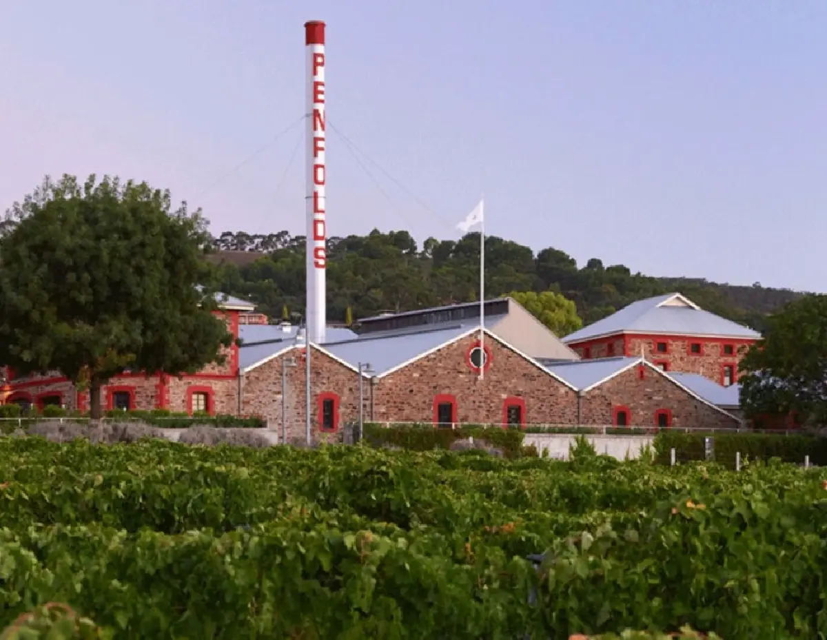 รีคอร์ก ไวน์ : ต่อลมหายใจให้ท่านผู้เฒ่า