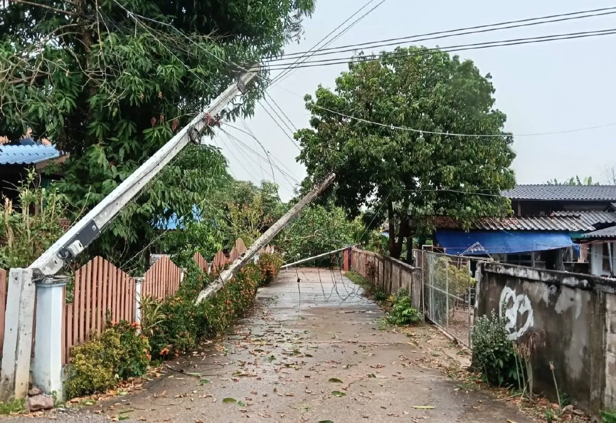 'สภาพอากาศ' พายุฤดูร้อนฝนตกลมแรงพัดถล่ม เสาไฟฟ้าล้ม PEA เร่งแก้