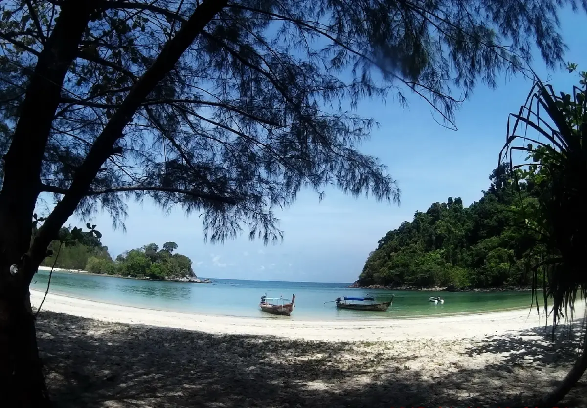 ค้างคืนบนเกาะกำ