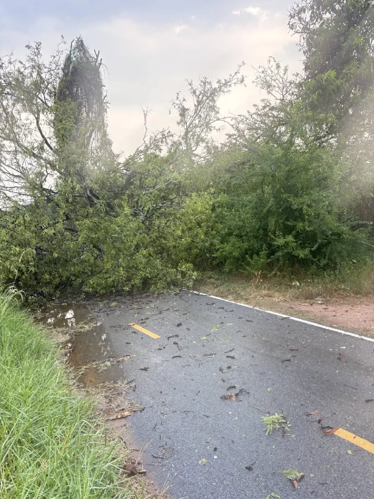 เริ่มแล้วพายุเข้าชัยภูมิ พายุฤดูร้อนถล่มบ้านค่าย สังกะสีปลิว